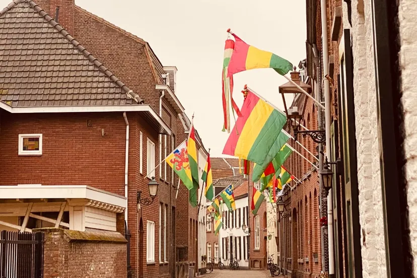 carnavalsvlaggen in begijnenhofstrt sittard
