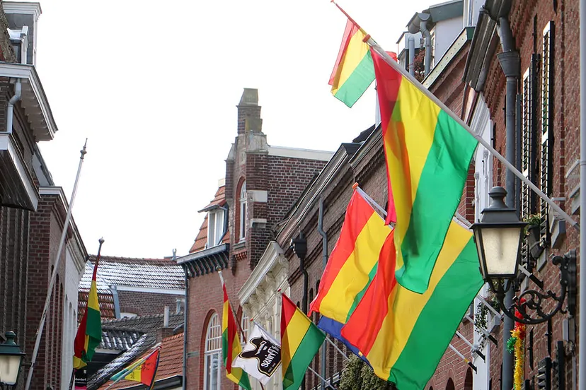 carnavalsvlaggen in de begijnenhofstraat