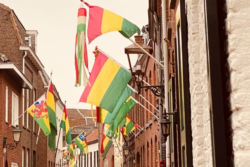 carnavalsvlaggen in de begijnenhofstraat in sittard