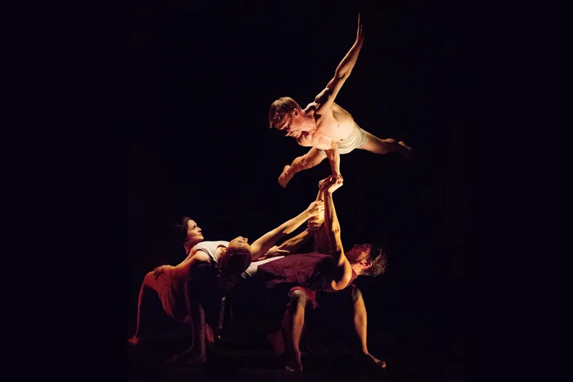 casus circus driftwood1katie bennett