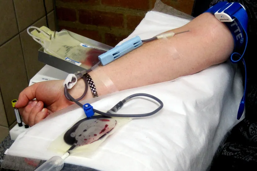 cc0 at the bloodbank 14038067094m8 bloedbank bloed donor