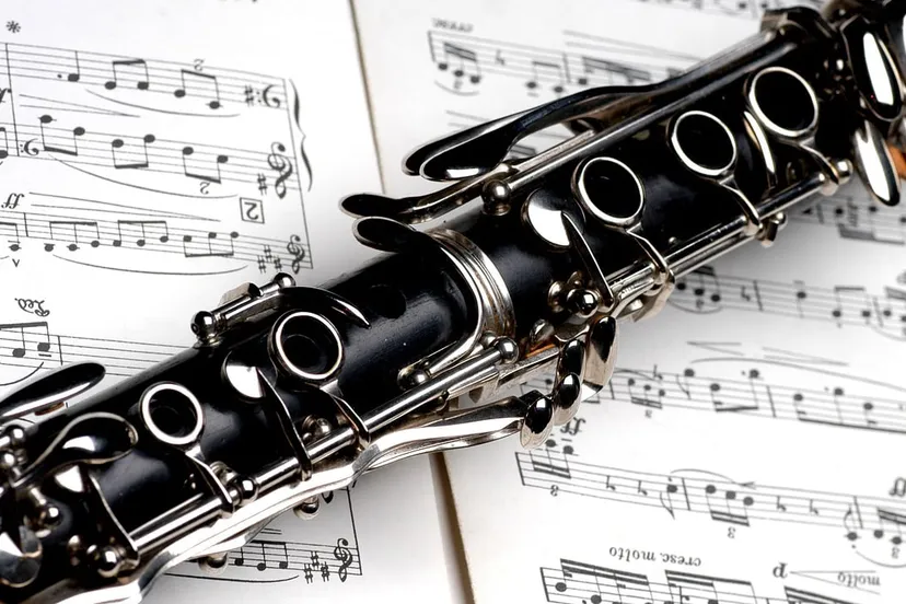 cc0 bob mcevoy via pixabay clarinet