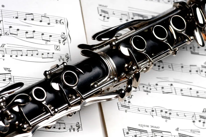 cc0 bob mcevoy via pixabay clarinet