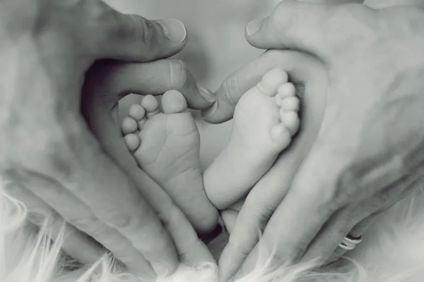 cc0 pixabay baby 2717347 12801