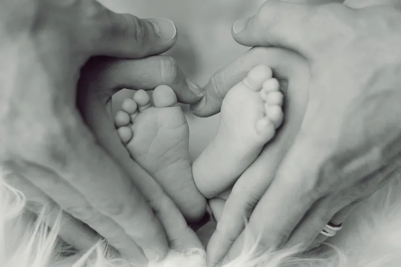 cc0 pixabay baby 2717347 12801