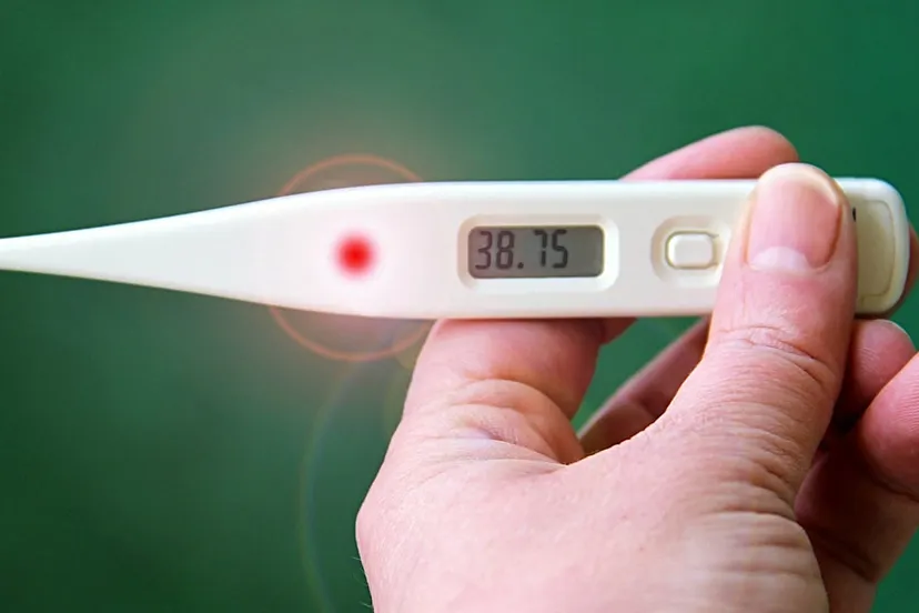 cc0 via pixabay griep koorts thermometer 3656065 1280