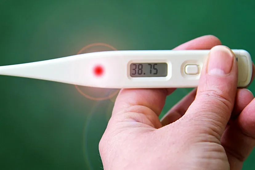 cc0 via pixabay griep koorts thermometer 3656065 1280