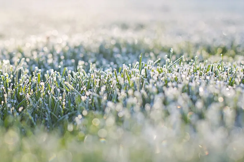 cc0 via pixabay vorst vrieskou nachtvorst koud