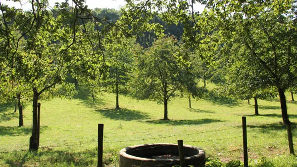 cgysonlhi91h1ixrqb4zvyen0 landschap munstergeleen zomer