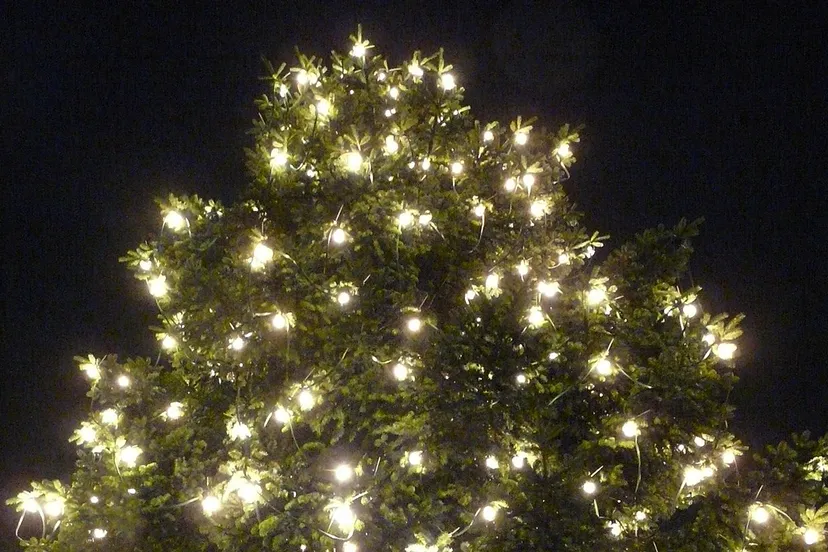 christmas 11511 1920 kerstboom verlichting lampjes