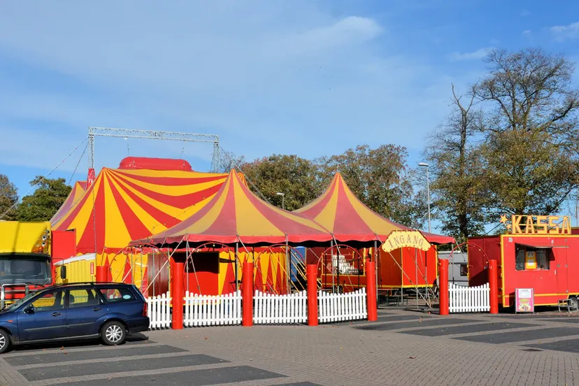 circus barani