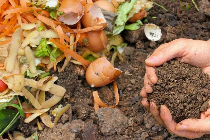 compost gratis afhalen