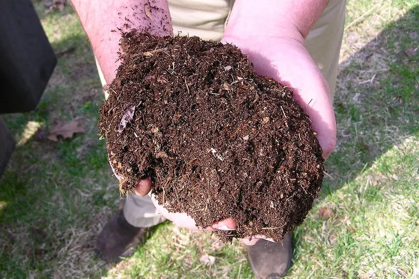 compost normanack cc by 20