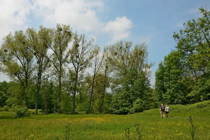 cottessenl henk heijligers hli 4480