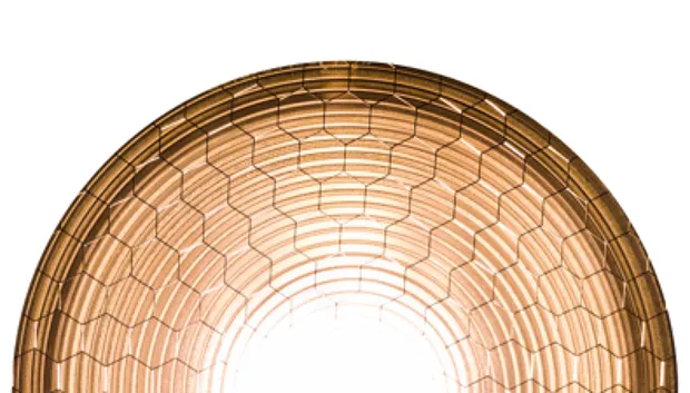 coup volt wak de domijnen