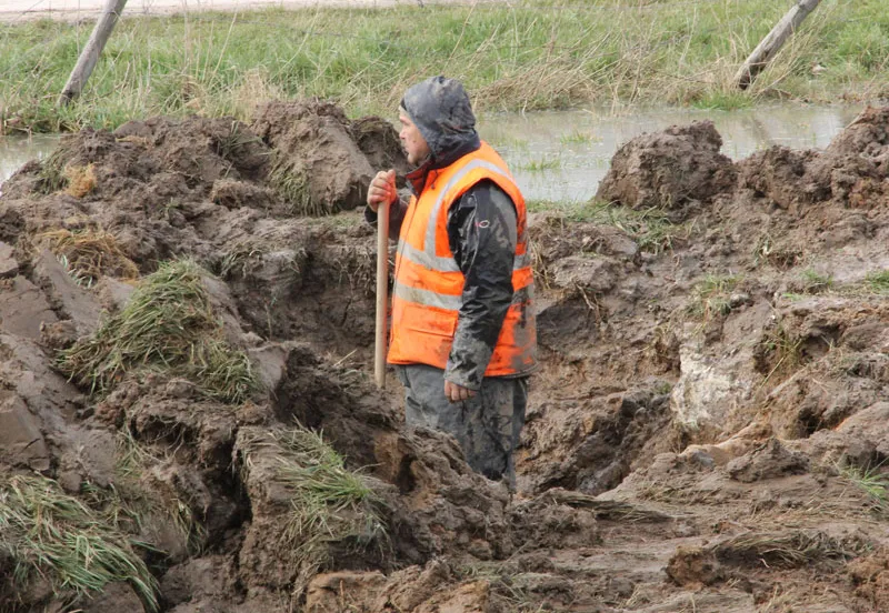 cpiw3z056kdeqa3i174v6yzd1 220248