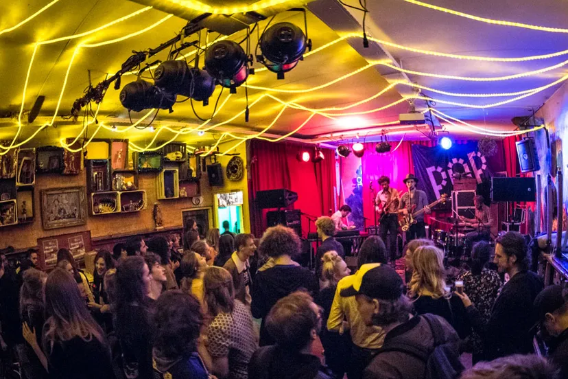 crowd the dawn brothers