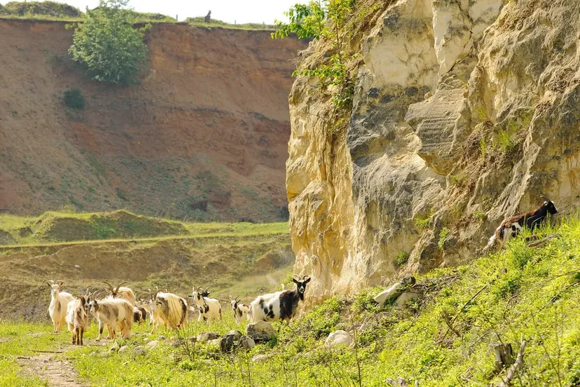 curfsgroeve henk heijligers