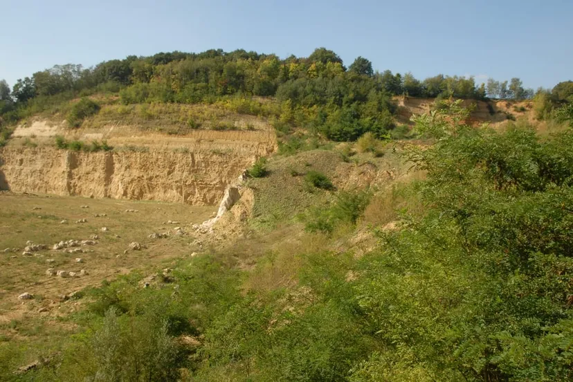 curfsgroeve sll henk heijligersjpg 1