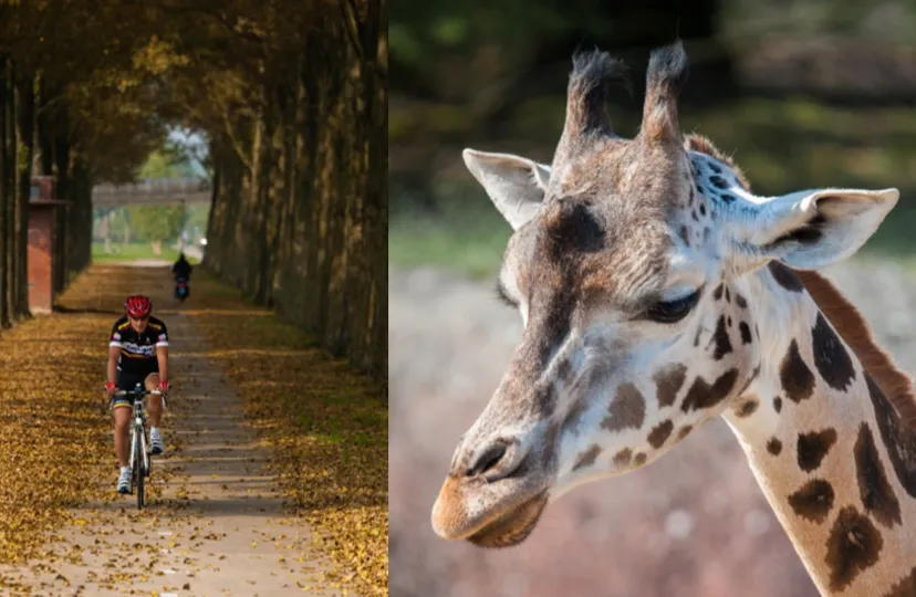 cursus fotografie gilde de graven