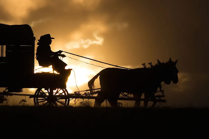 cw65h86djom15ac23gnrmlas0 1017 homesman 2