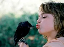 d3qurvfby8z63swrpws0dzyr4 181495