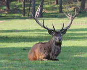 d6nzo06uk77vwgeraqievfqrn 224063