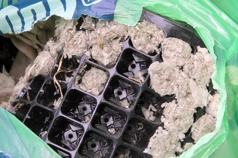 dacapo zwerfvuilactie 2019 2