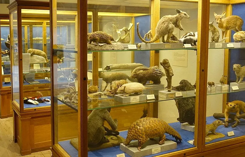 daderot cc0 een natuurkundig museum