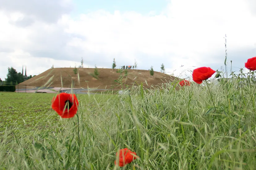 dag van de bouw 2017 veilige wieleromgeving 1