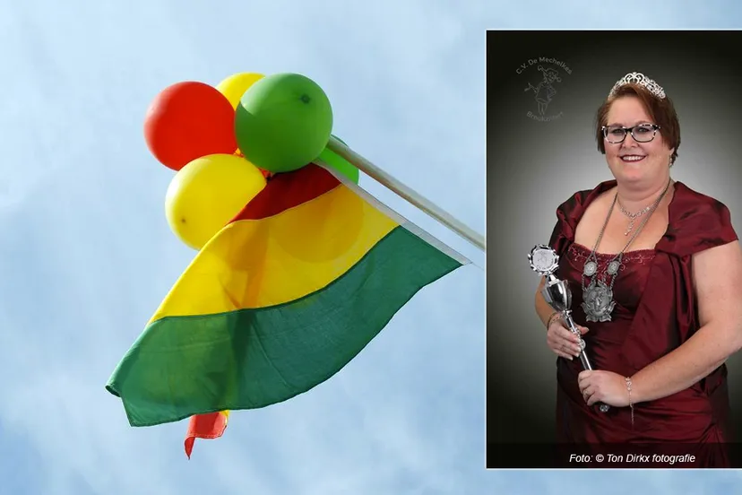 daniella i mechelkes carnavalsdriekleu rood geel groen vlag