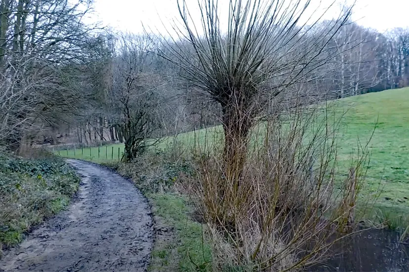 daniken doorstart tv