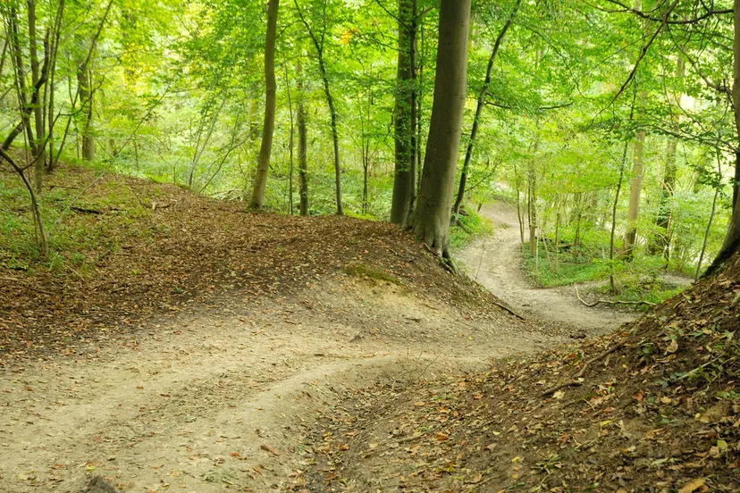 de dellen henk heijligers