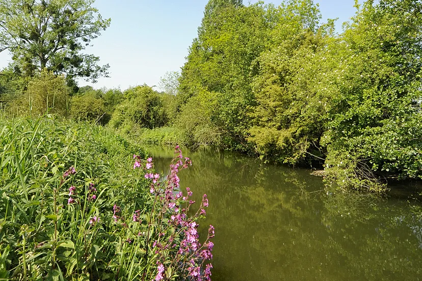 de dellen meerssenerbroek henk heijligers
