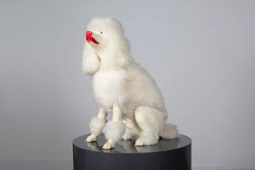 de domijnen presenteert ii mens en dier edward lipski dog 1999 fotograaf bert janssen 1