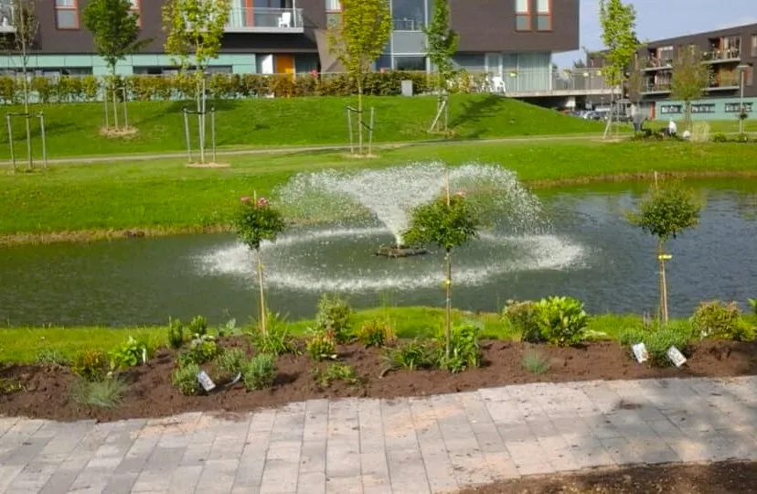 de drie musketiers vijver geleen barbarastraat