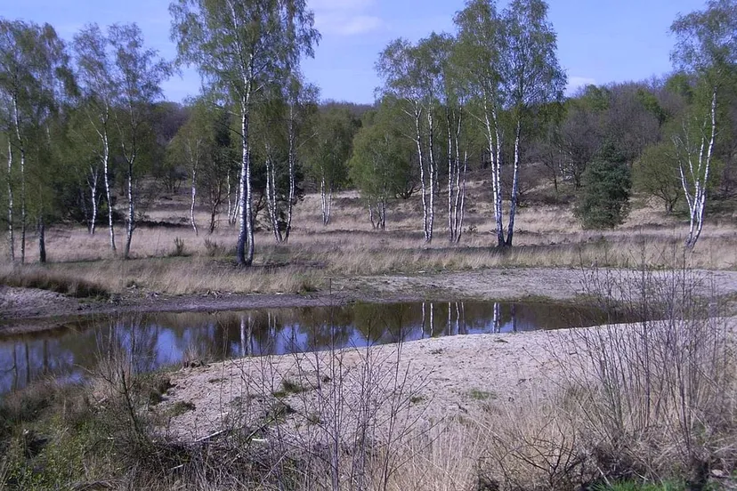 de meinweg foto uit 2008 bodoklecksel cc by sa http creativecommonsorglicensesby sa30