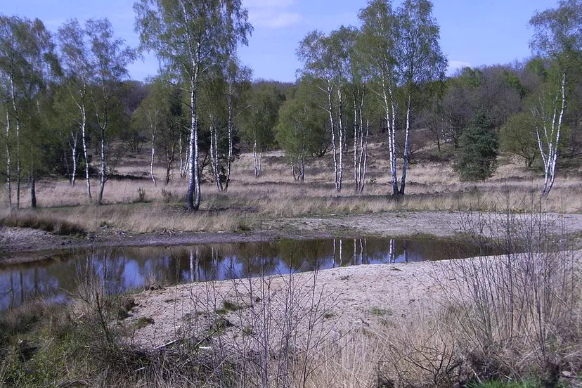de meinweg foto uit 2008 bodoklecksel cc by sa http creativecommonsorglicensesby sa30
