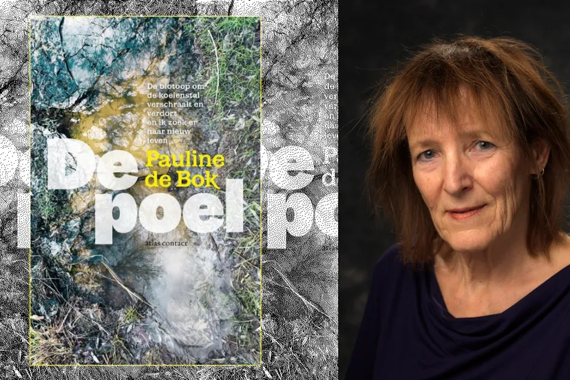de poel pauline de bok