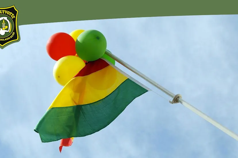 de sjoutvotte carnavalsdriekleur rood geel groen vlag