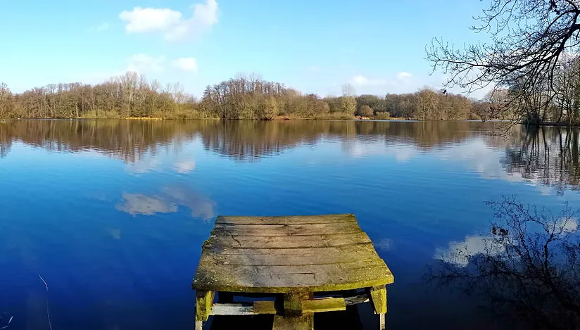 de witt see in nettetal michael and the birds cc by sa 30