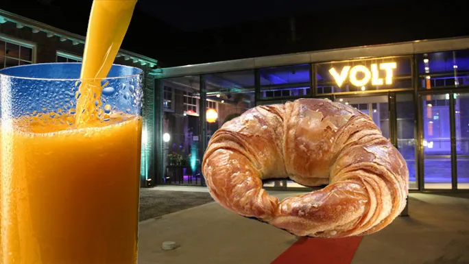 de74zq3i2914knflv3qark1dh ochtendglorie bij volt