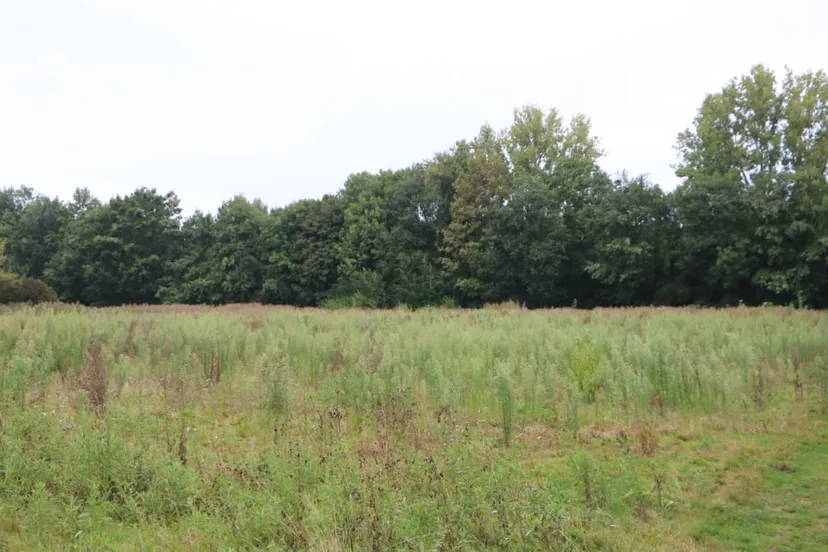 deel voormalig escs terrein