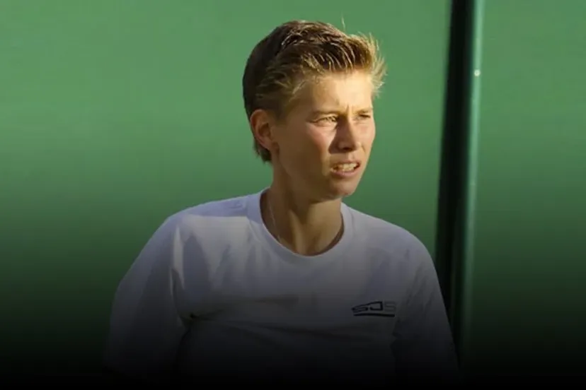 demi schuurs met tintverloop