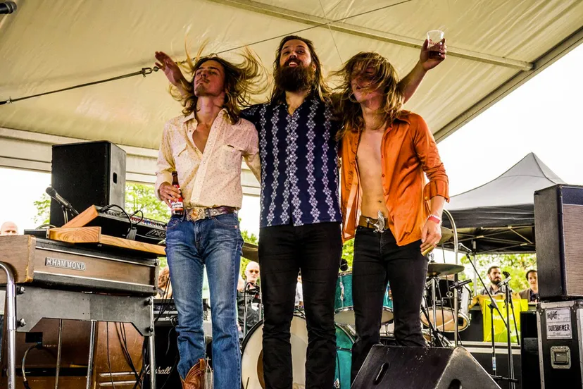 dewolff op pulp 2017