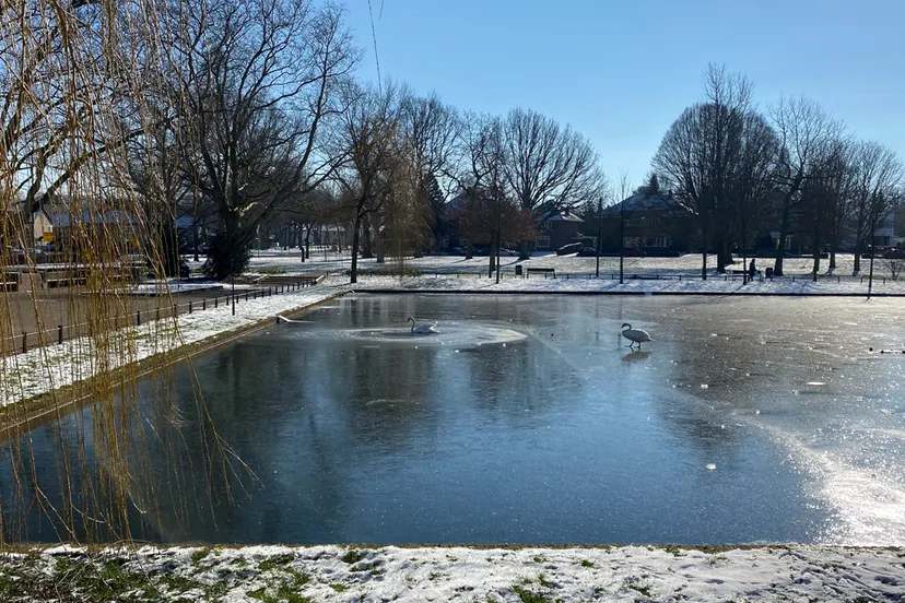 dichtgevroeren vijver stadspark sittard