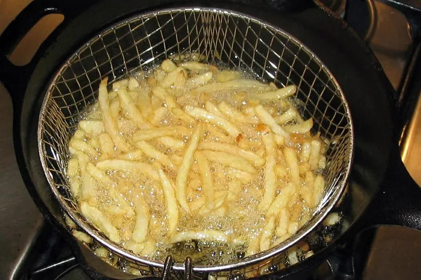 diepvriesfriet hayford peirce cc by sa 30 via wikimedia commons