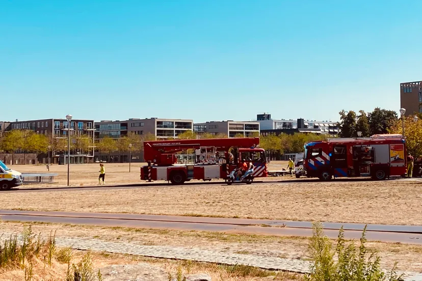 dier in nood schootsvelden sittard 3