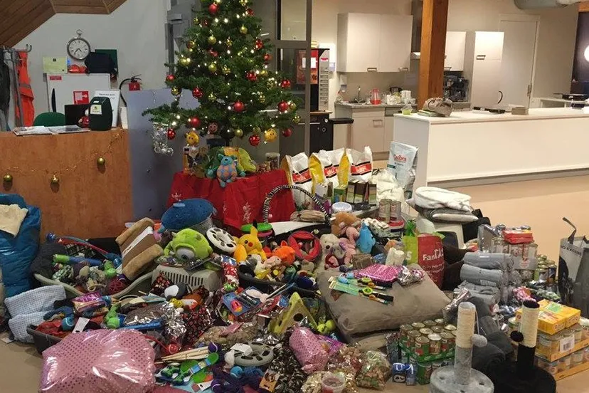 dierenspeeltjes dierenbeschermingscentrum limburg