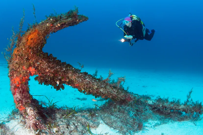 diving 5 viewingmalta